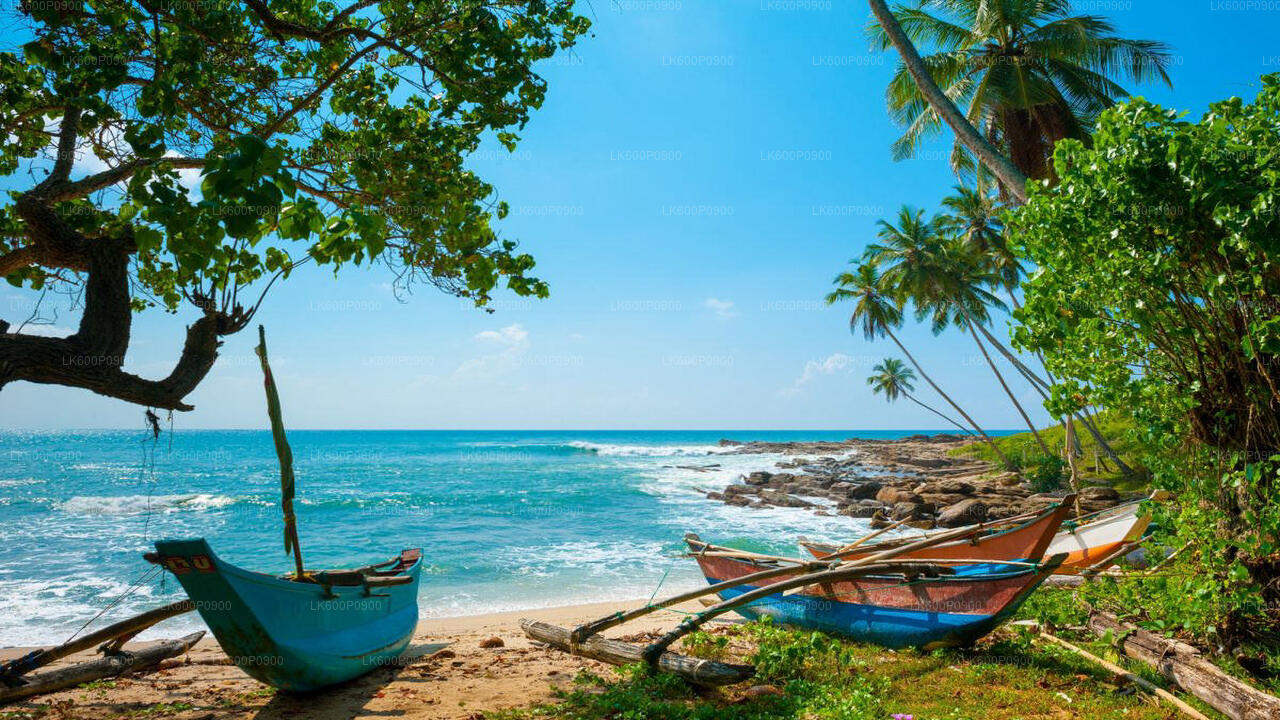 Hidden Temples and Secluded Coastlines Tour from Galle