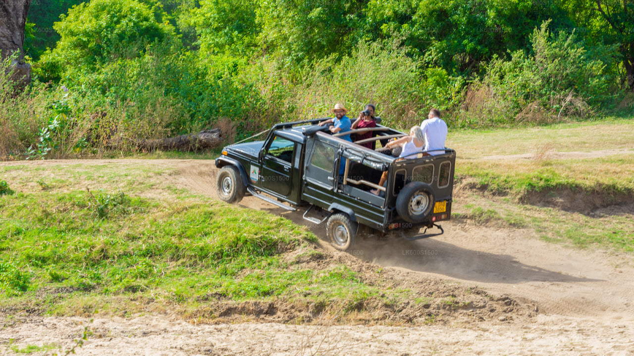 Polonnaruwa Ancient Kingdom and Wild Elephant Safari from Habarana