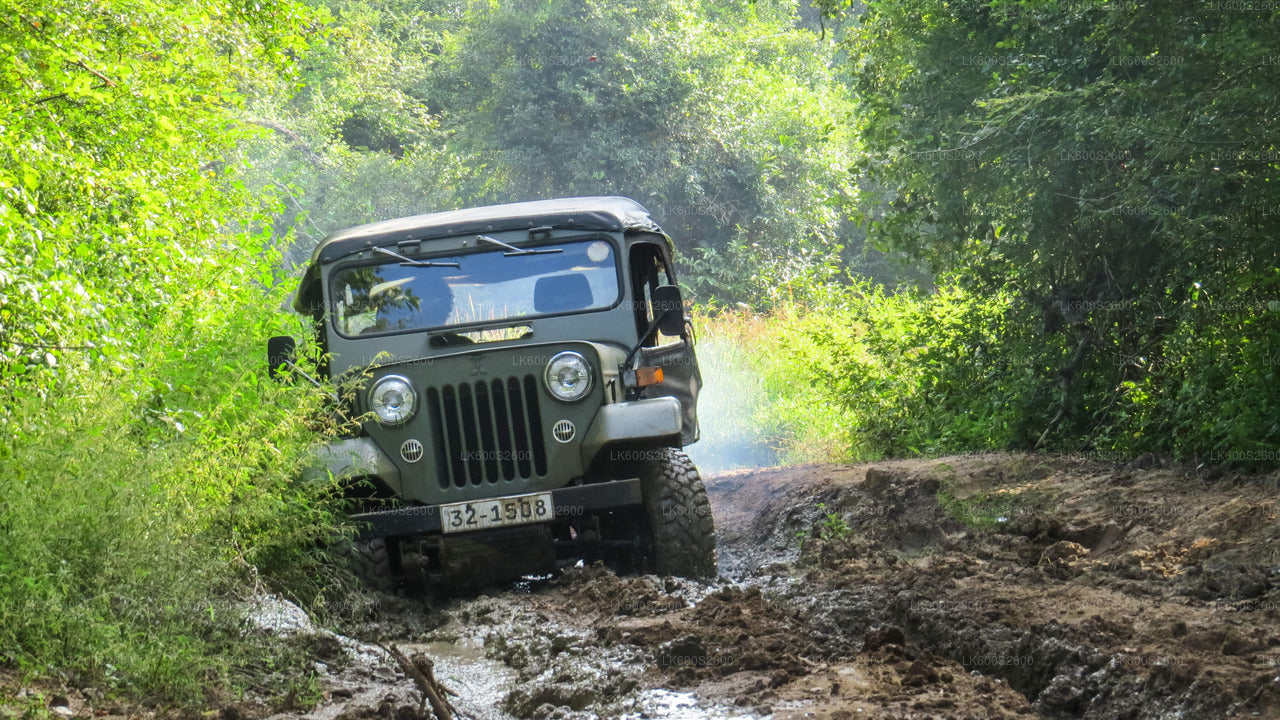 Wasgamuwa National Park Safari from Habarana