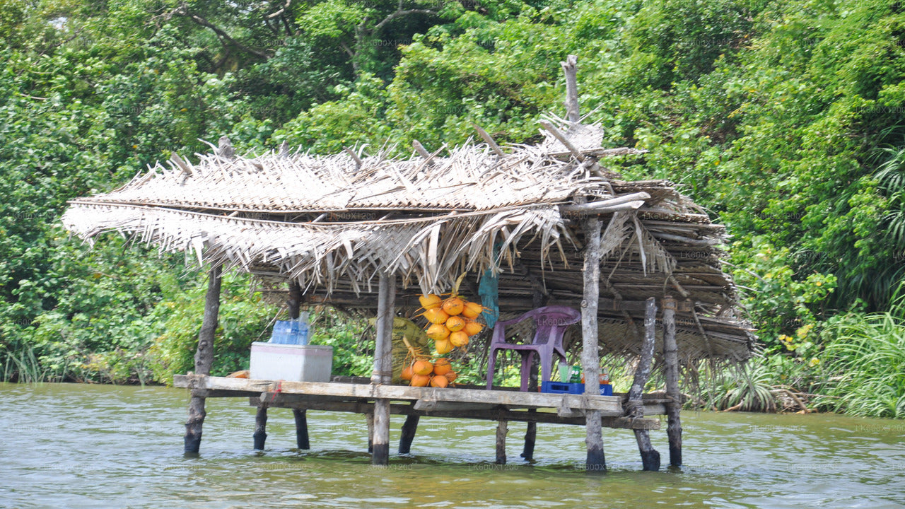 Bentota City Tour from Hikkaduwa