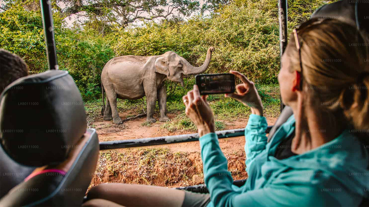 Yala National Park Safari from Hikkaduwa