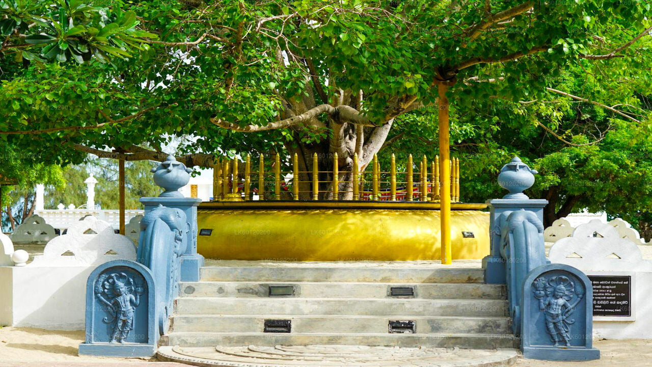 Keerimalai Holy Pond and Jambukola Port from Jaffna