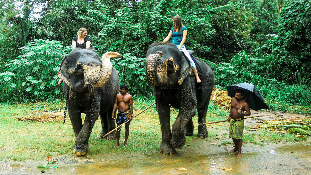 Pinnawala Elephant Orphanage from Kalutara