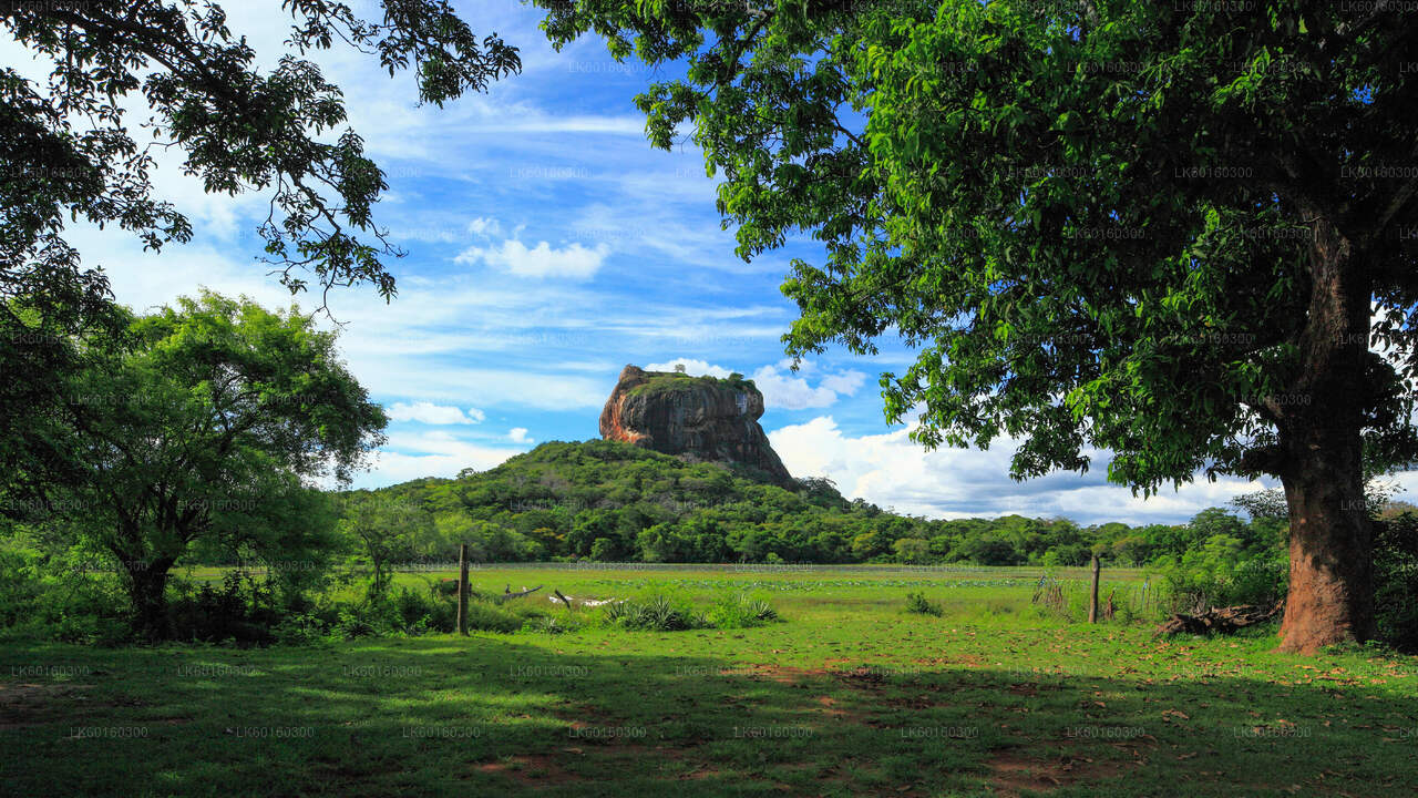 Sigiriya and Dambulla Cave from Kalutara