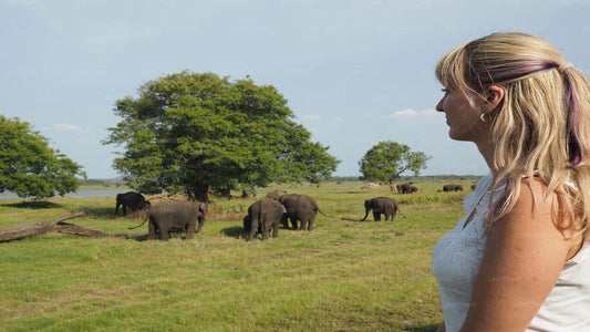 Sigiriya Rock and Wild Elephant Safari from Kandy