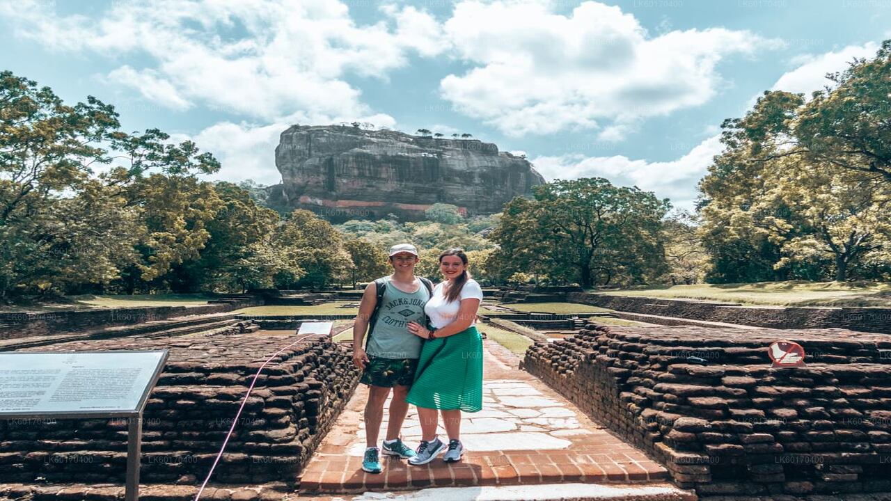 Sigiriya Rock and Wild Elephant Safari from Kandy