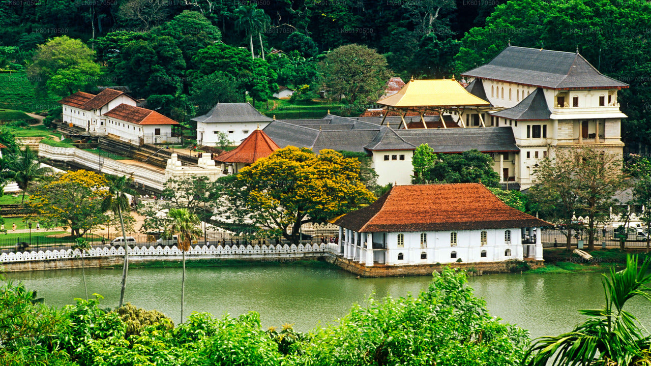 Temple Run Tour from Kandy