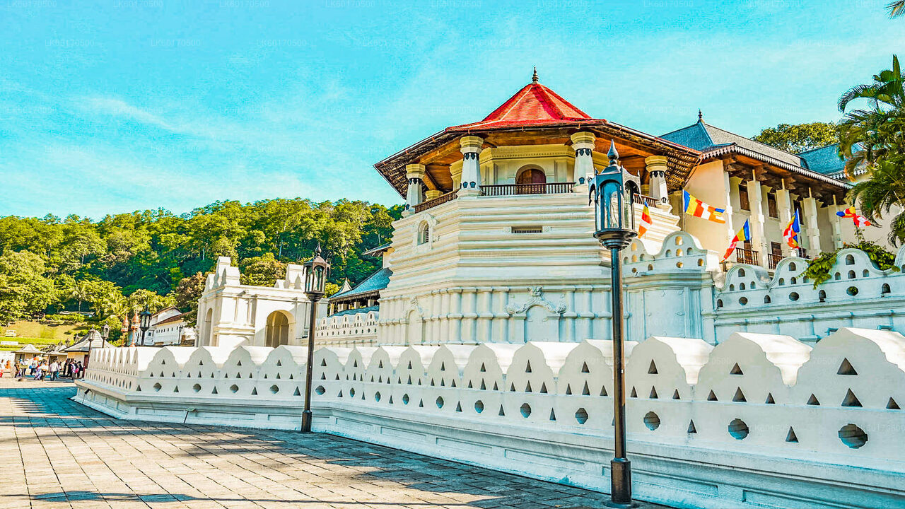 Temple Run Tour from Kandy