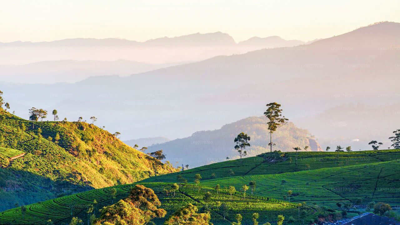 Central Highlands Peak Point from Kandy