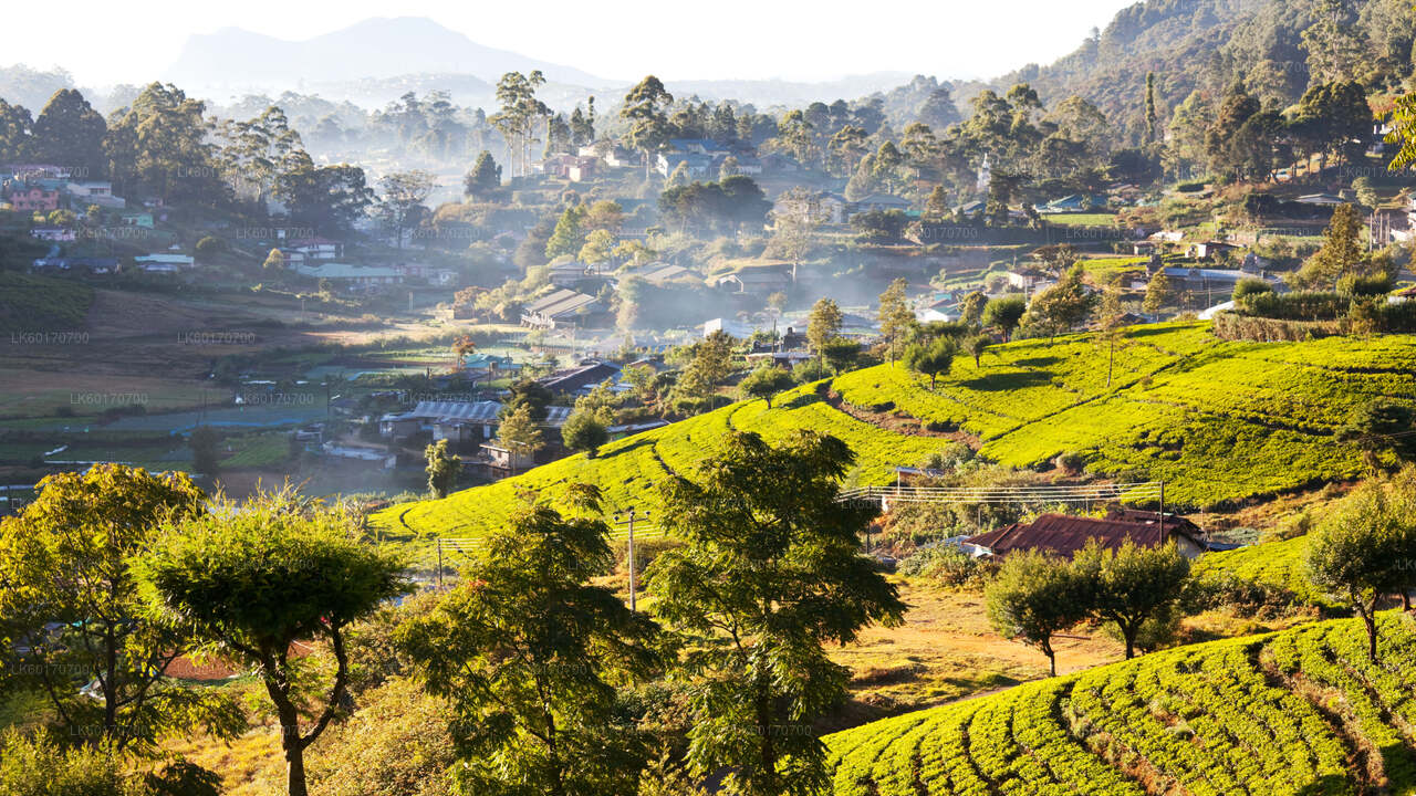 Central Highlands Peak Point from Kandy