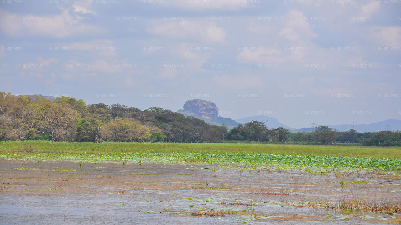 Sigiriya Village Tour from Negombo