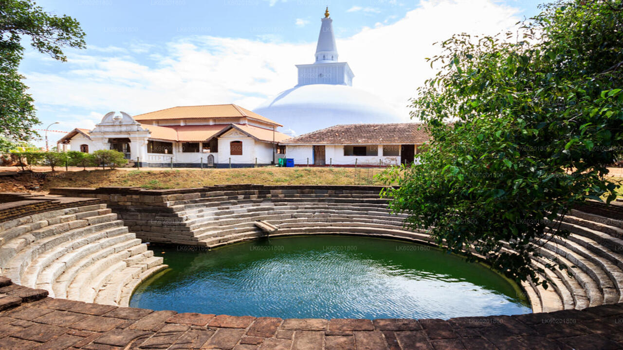 Anuradhapura Buddhist Icons Tour from Sigiriya