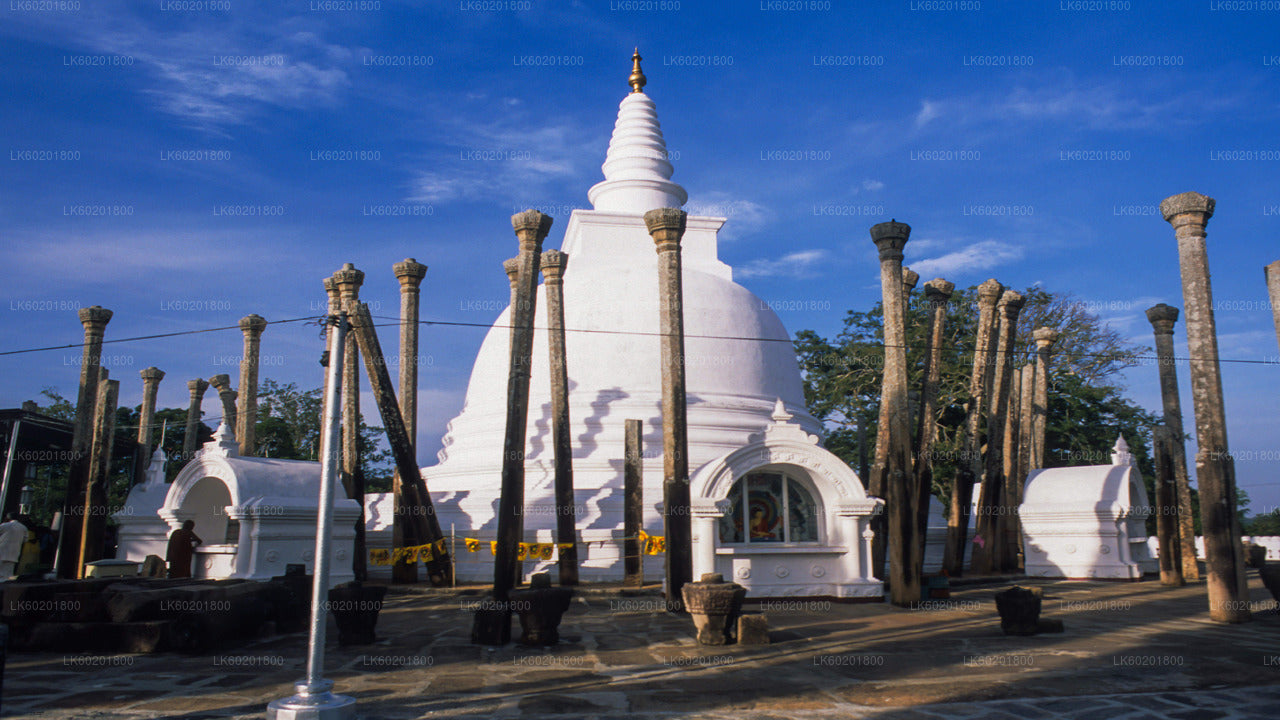 Anuradhapura Buddhist Icons Tour from Sigiriya