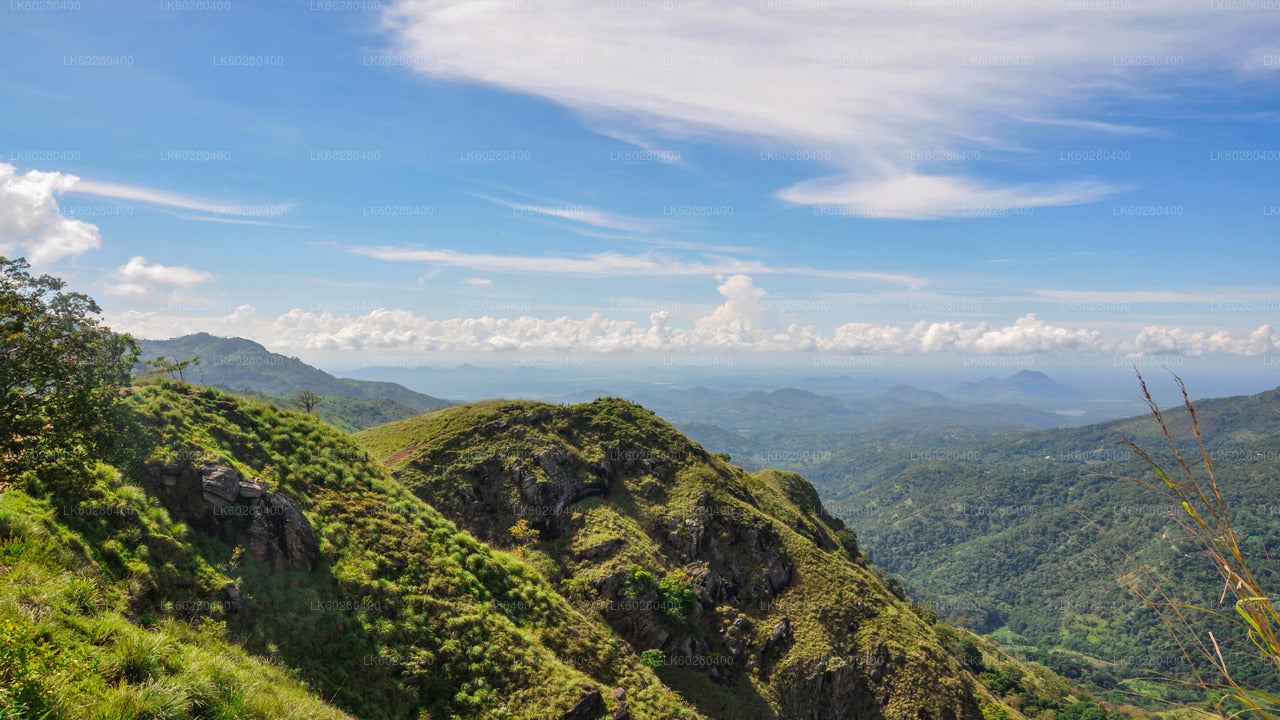 Scenic Ella Village from Hambantota