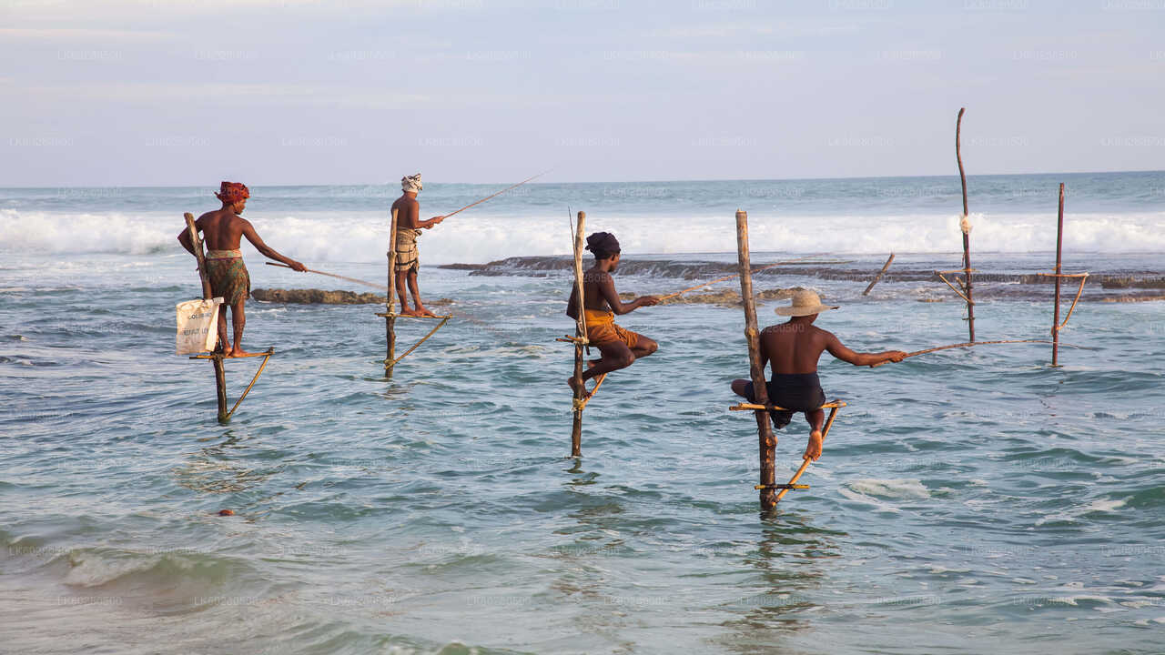 Southern Coast Highlights from Hambantota