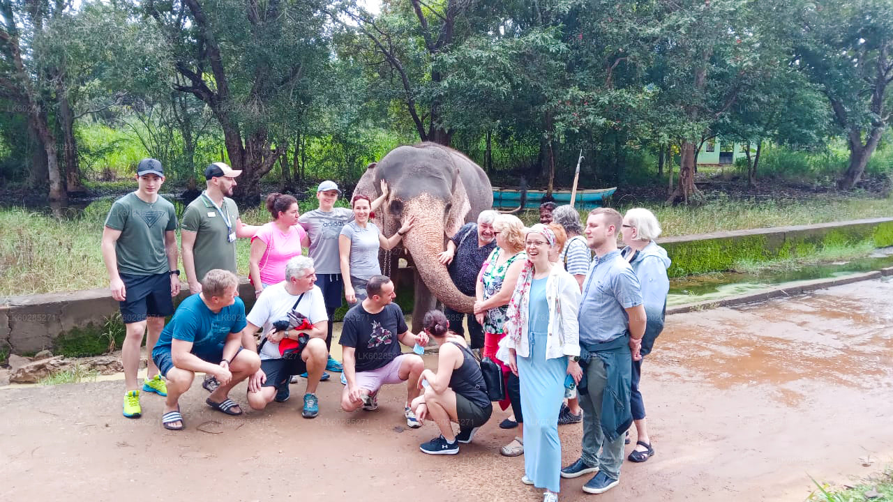 Elephant Back Safari from Habarana