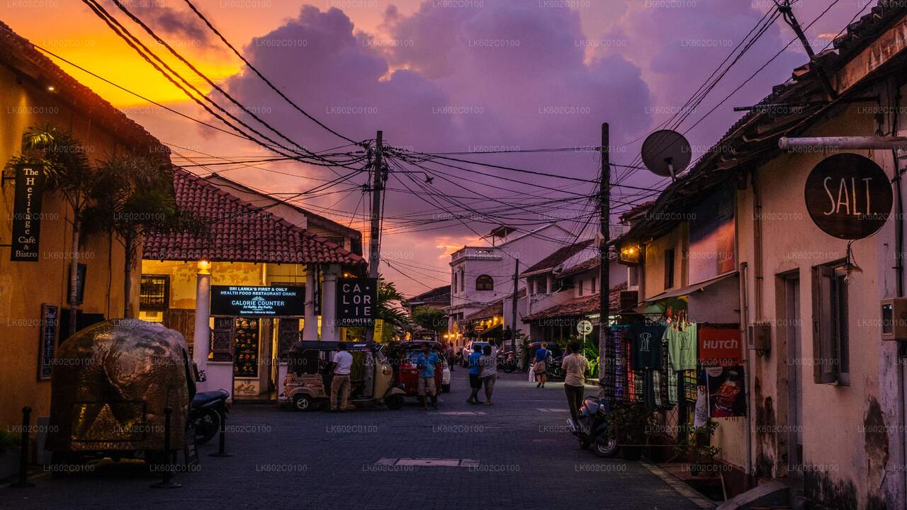 Southern Coast Highlights from Weligama City