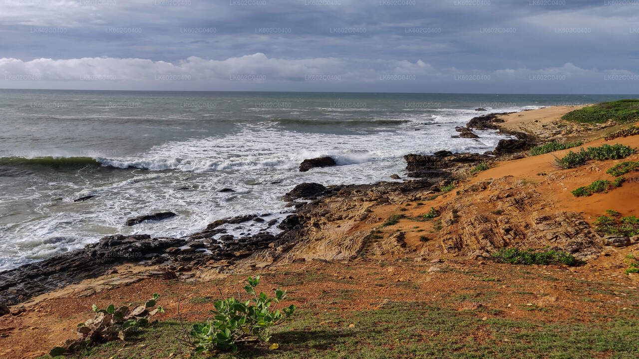 Bundala National Park Safari from Weligama