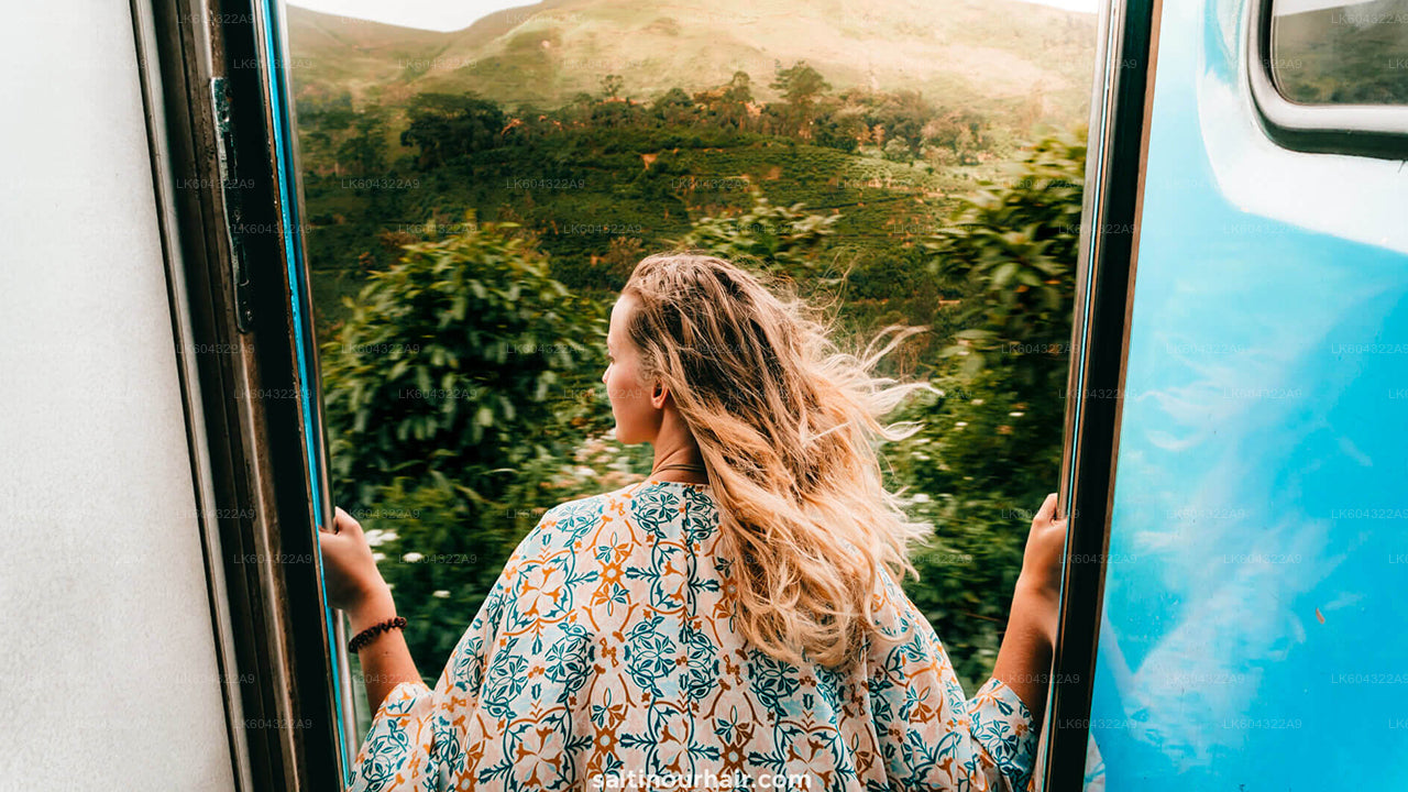 Scenic Train Ride to Nanu Oya from Kandy