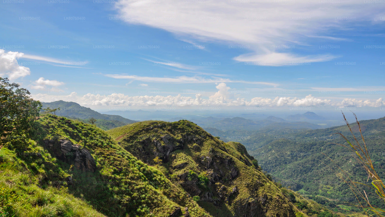 Scenic Ella Village from Mattala