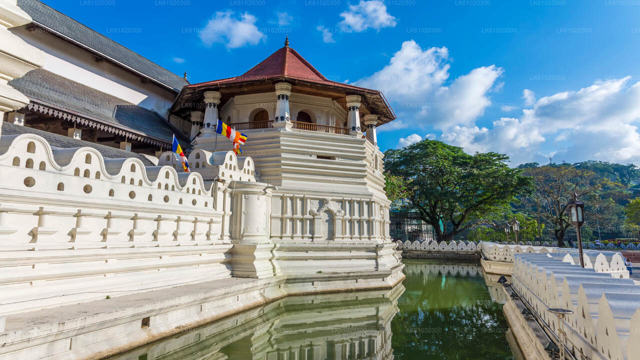 Kandy City Tour by Open-Deck Bus