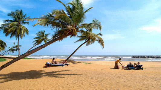 Negombo City Tour