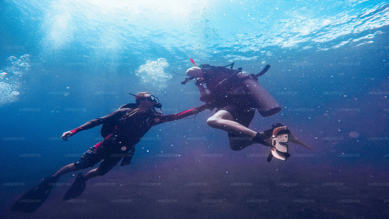 Scuba Diving from Trincomalee