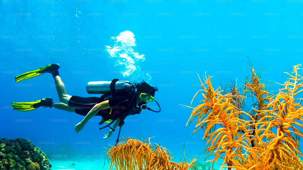 Scuba Diving from Trincomalee