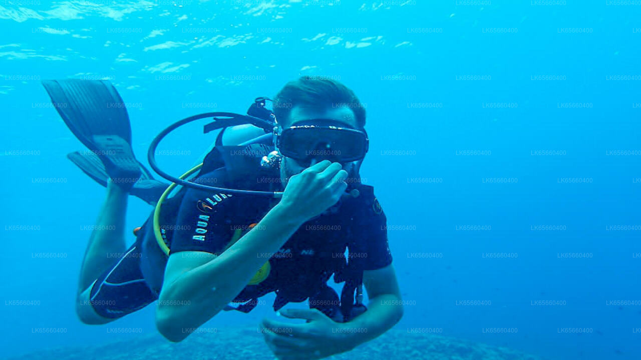 Diving from Mount Lavinia