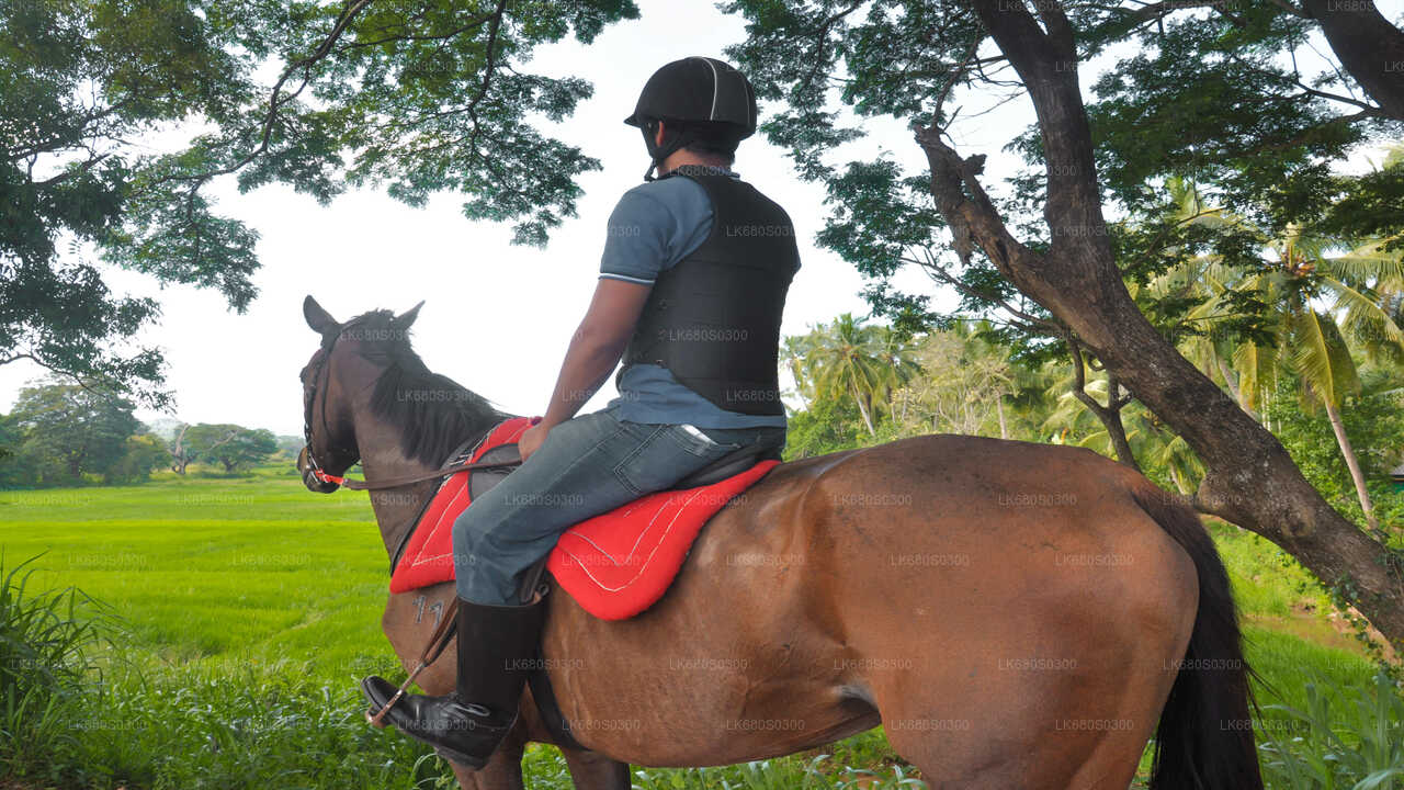 Horse Ride around a Village from Habarana