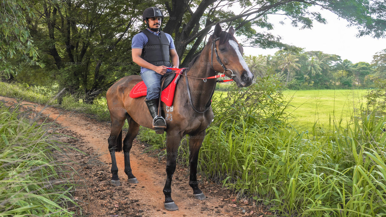 Horse Ride around a Village from Sigiriya