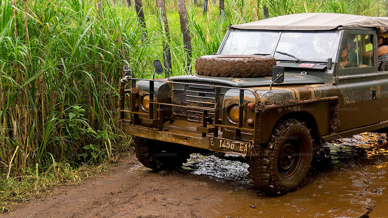 4WD Tour to Ella's Archaeological Sites from Ella