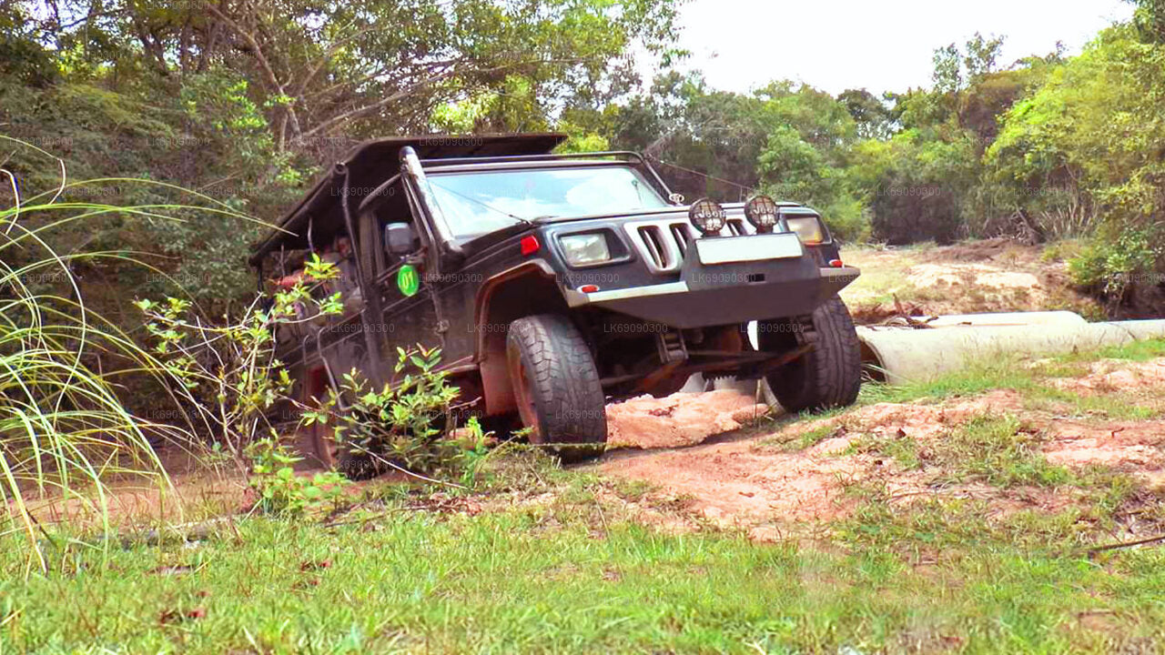 4WD Tour to Ella's Iconic Bridges from Ella