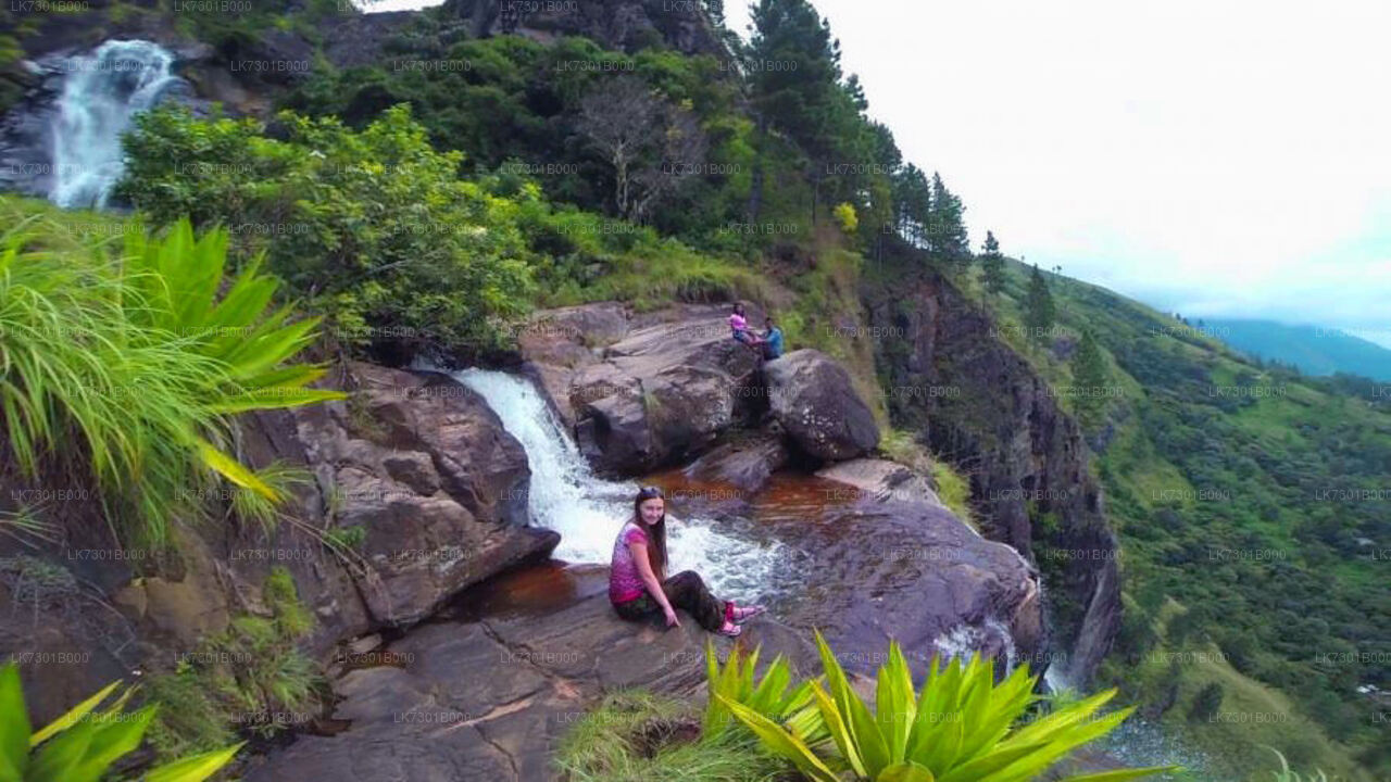 Camping at Wangedikanda and Hike to Bambarakanda Falls from Colombo