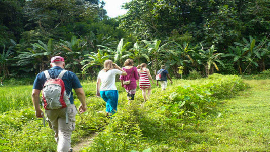 Countryside Hike from Kandy