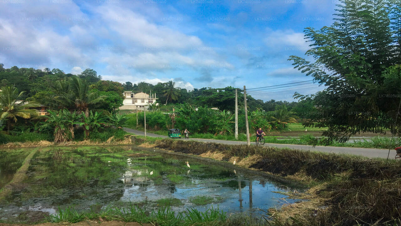 Countryside Hike from Kandy