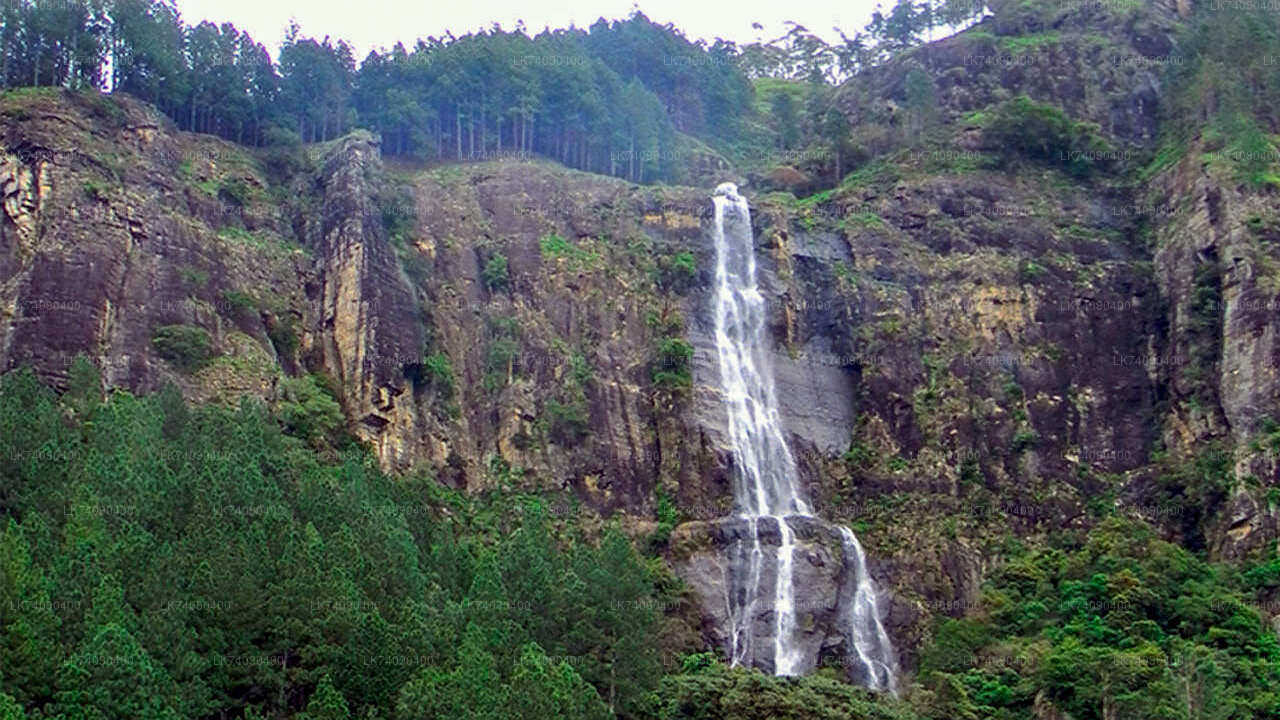 Hike to Bambarakanda Waterfall from Ella