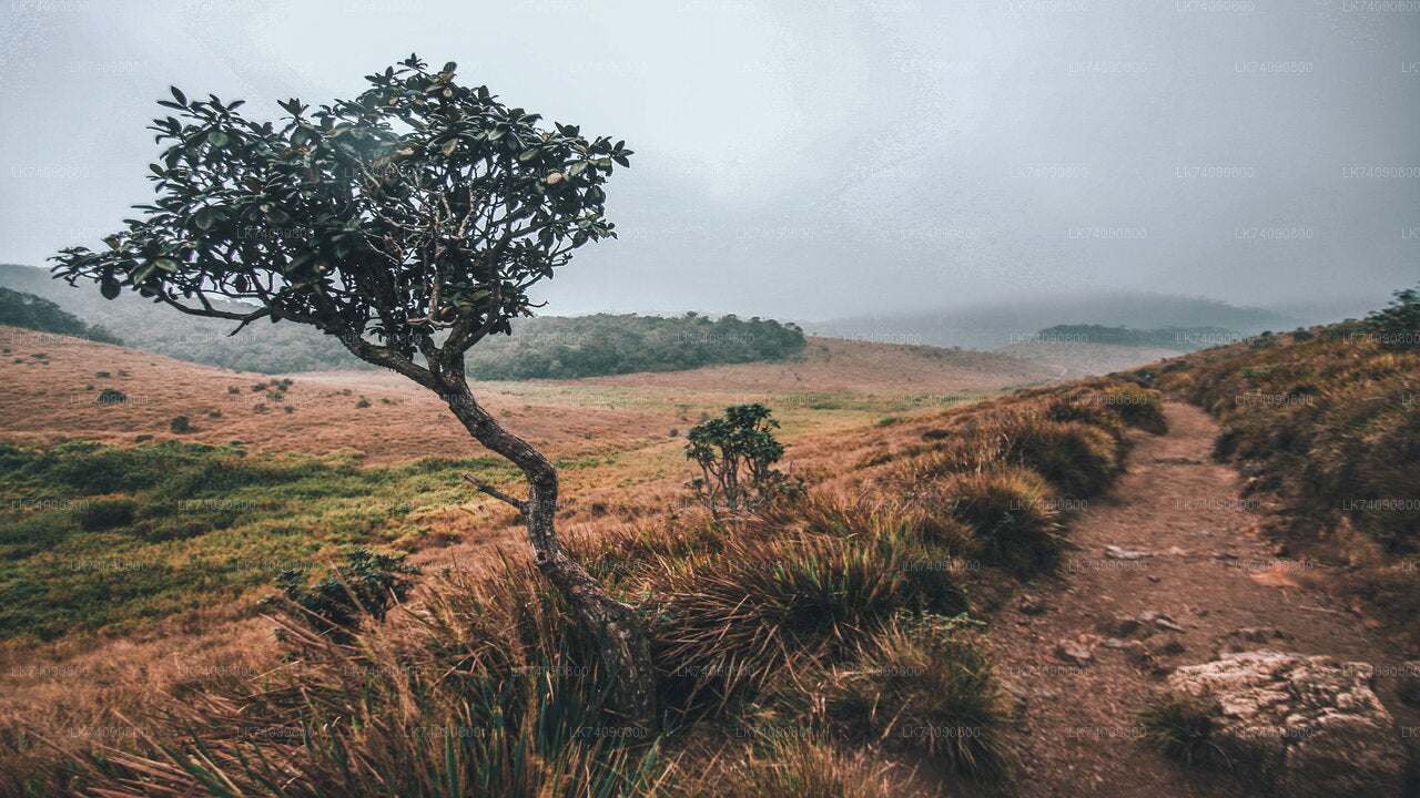 Horton Plains National Park from Ella