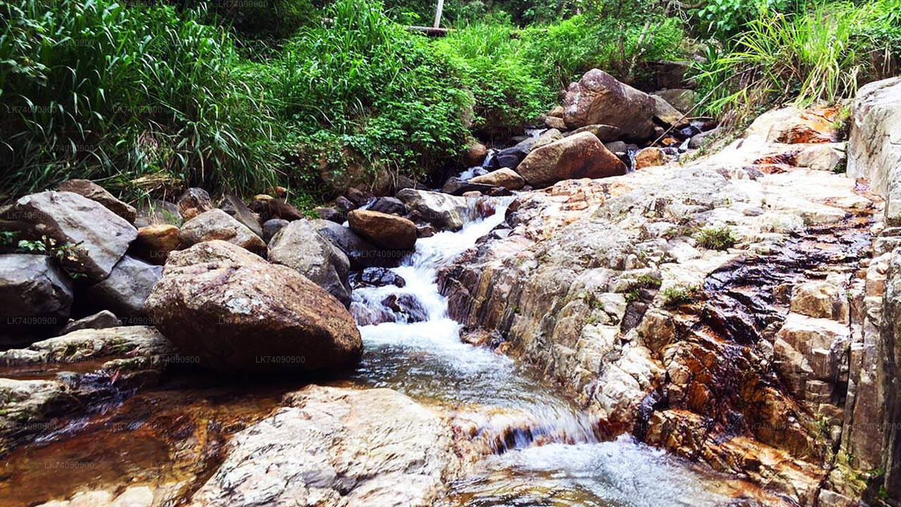 Waterfall Walk from Ella