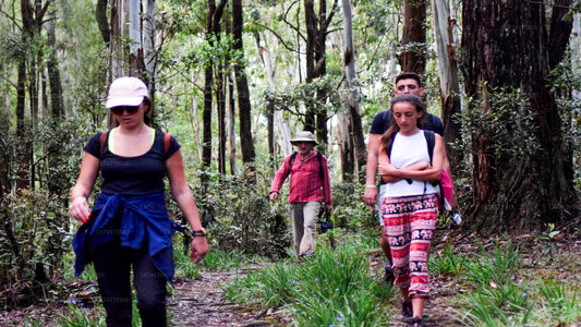 Trekking to Heeloya Village from Kandy