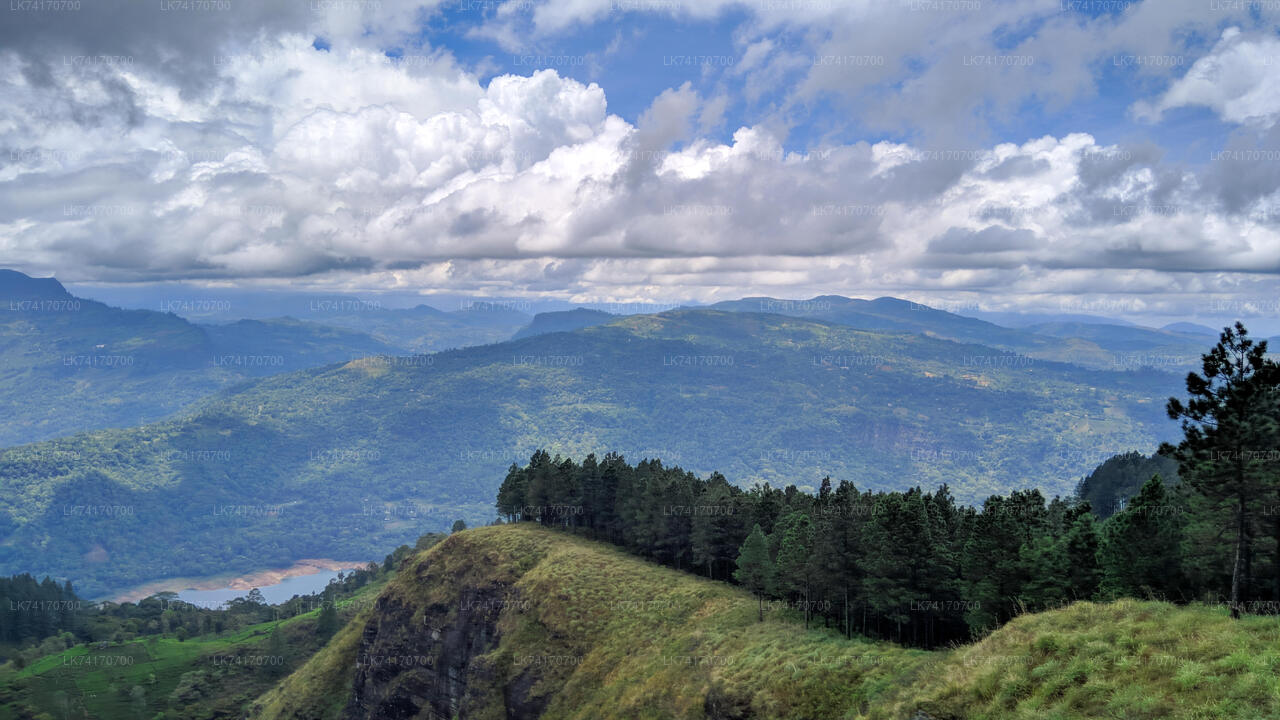 Hike to Peacock Hill from Kandy