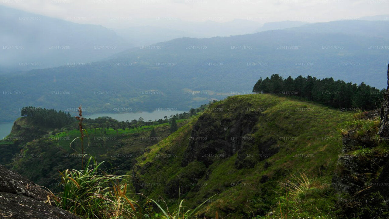 Hike to Peacock Hill from Kandy