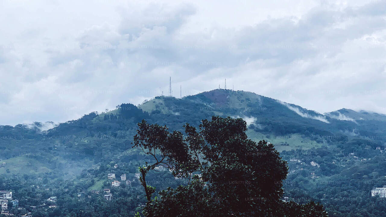 Hanthana Mountain Range Hike from Kandy