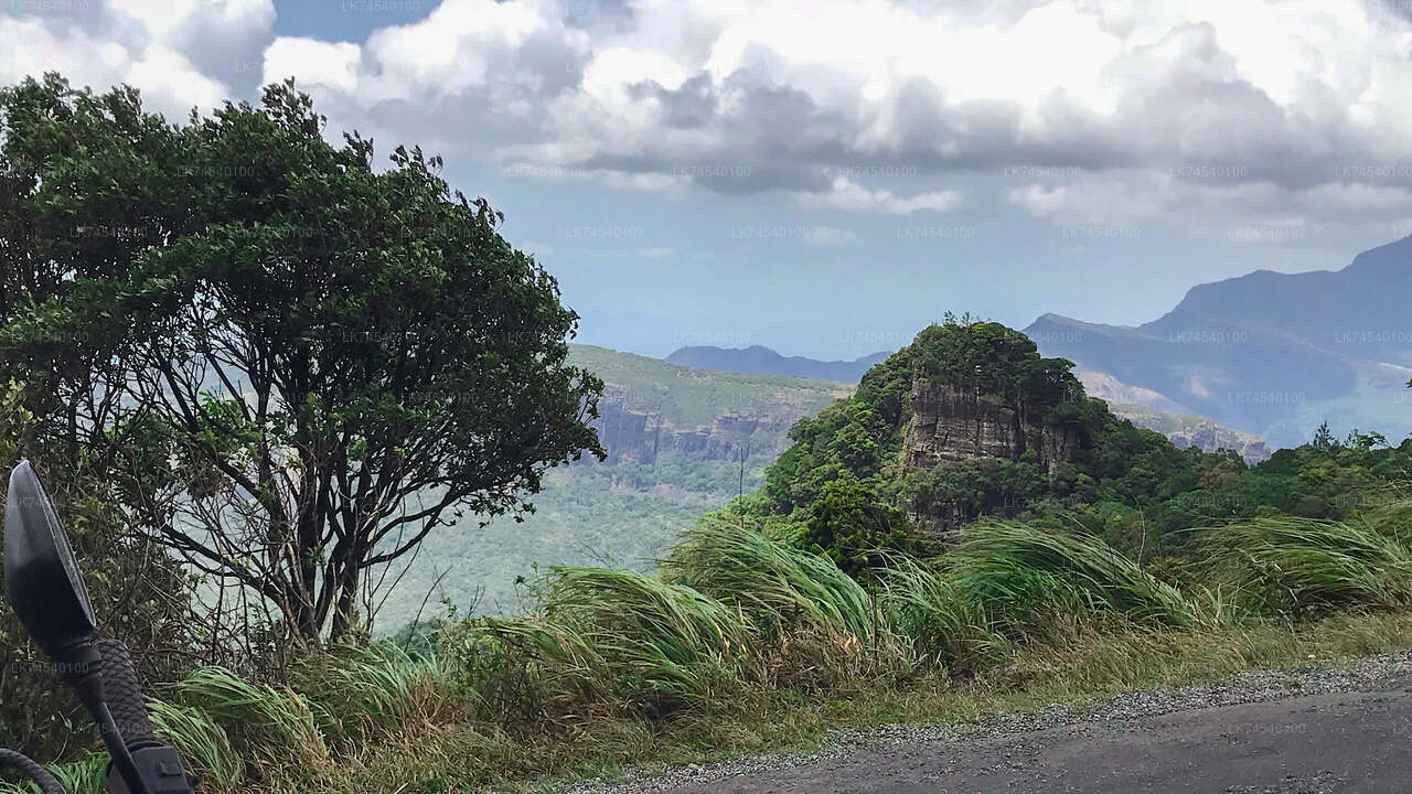 Hiking Through Riverston (Private Day Hike)