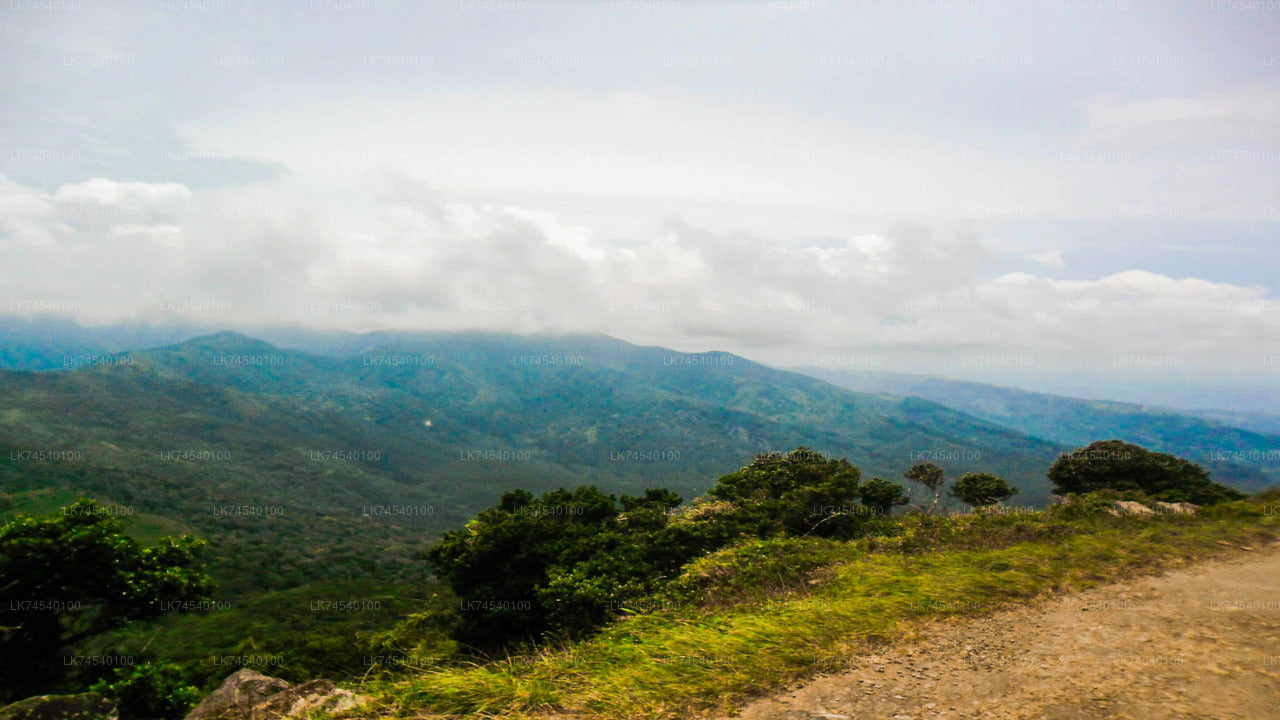 Hiking Through Riverston (Private Day Hike)