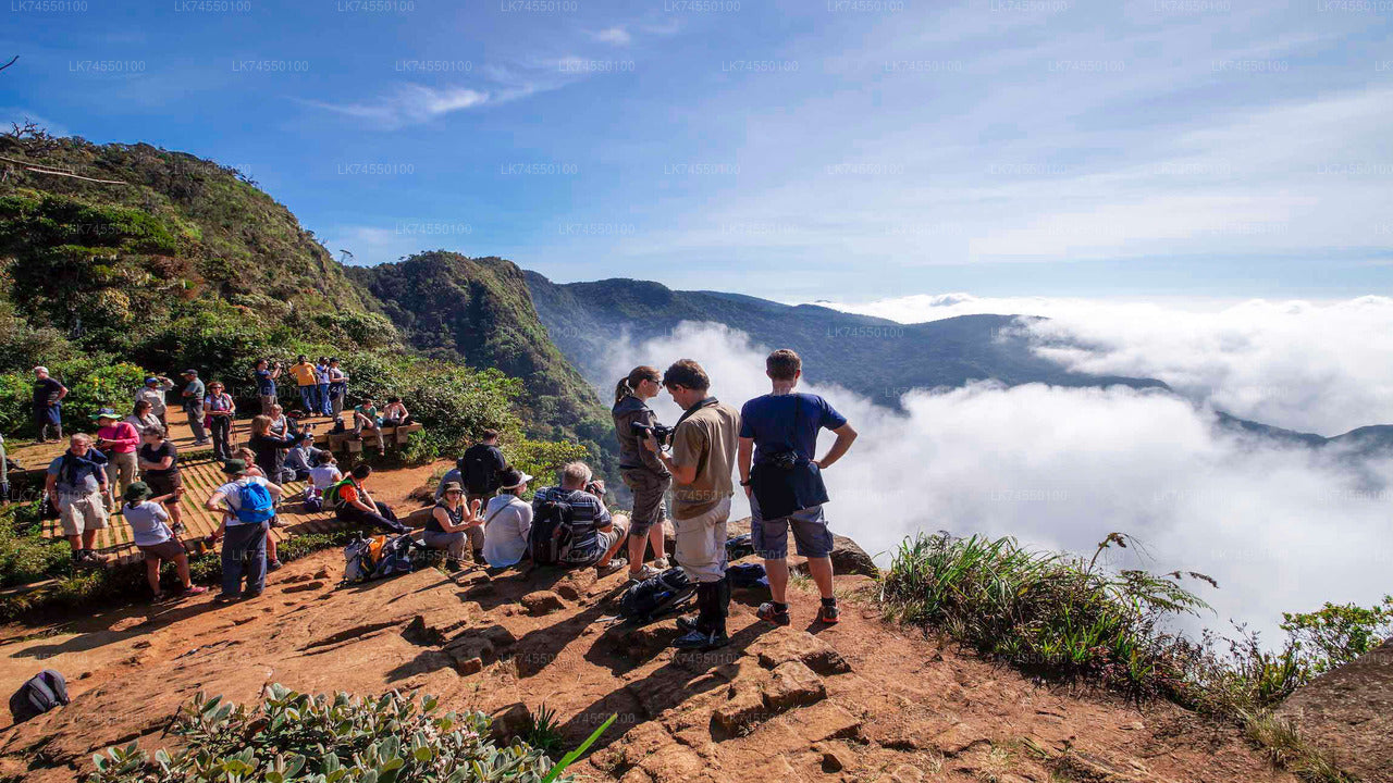 Hiking in Horton Plains Borders via Rail Tracks from Pattipota