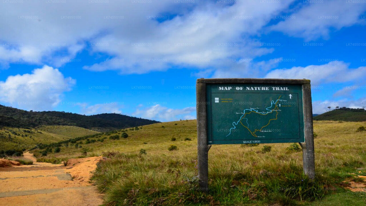 Hiking in Horton Plains Borders via Rail Tracks from Pattipota