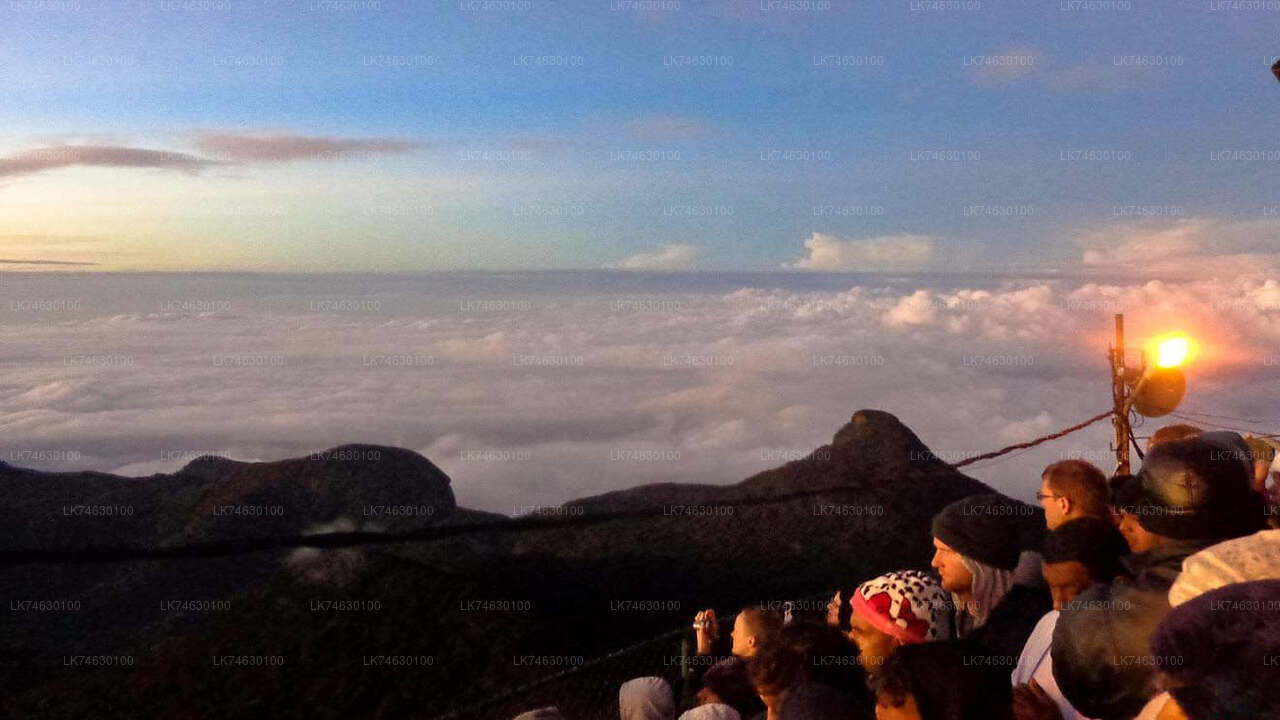 Night Hike to Adam's Peak from Nallathanniya