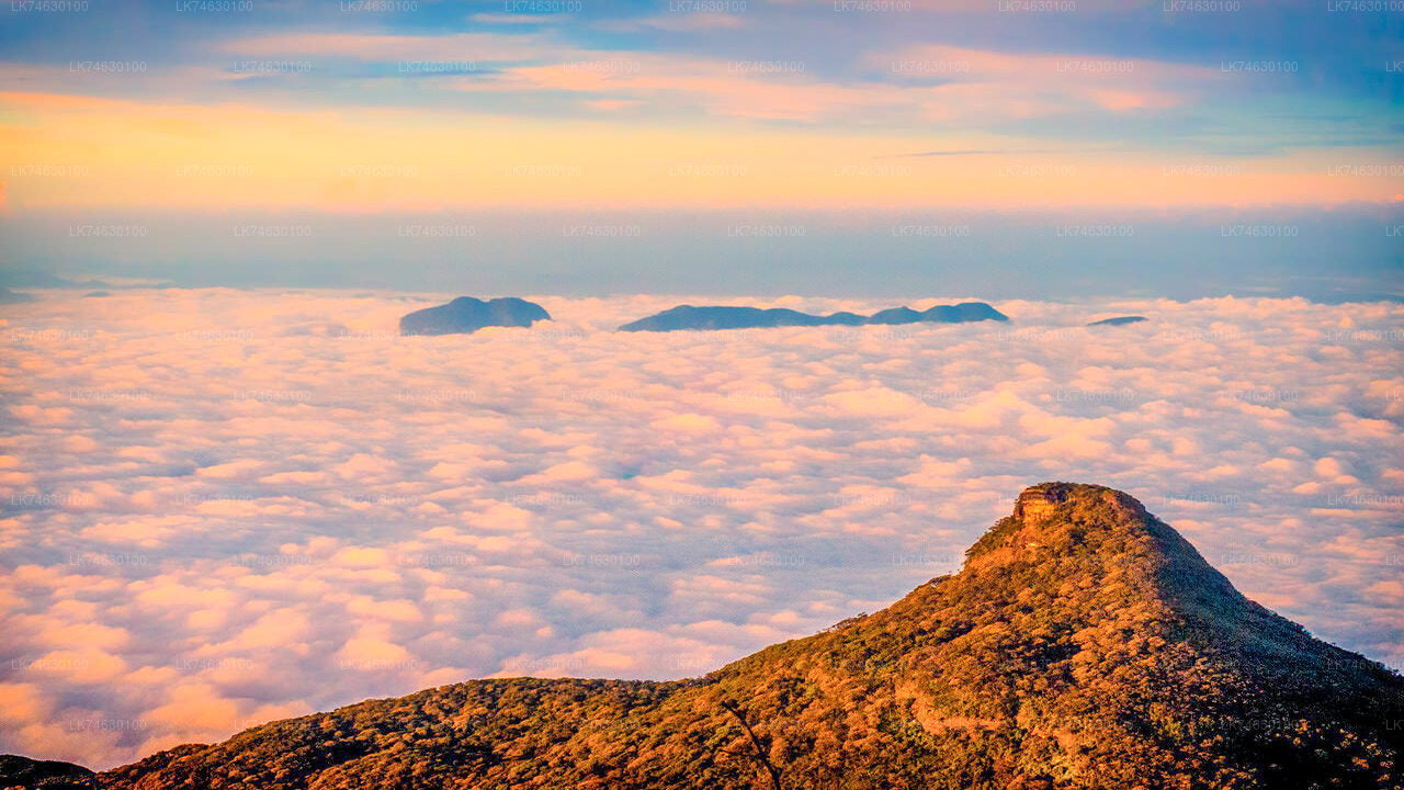 Night Hike to Adam's Peak from Nallathanniya