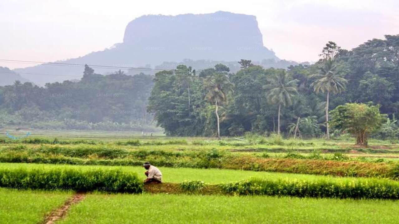 Hike to Bible Rock from Kegalle